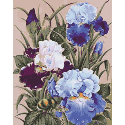 Картина за номерами "Півники" 13145-ACВ 40х50 см в коробці