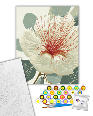 Картина за номерами "Квітучий евкаліпт" 13155-AC 40х50 см