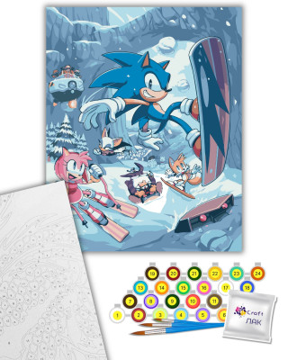 Картина за номерами "Пригоди Соніка" 16123-AC 40х50 см