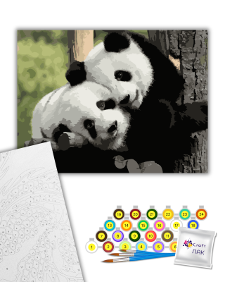 Картина за номерами "Щирі обійми" 504018-NC 40х50 см