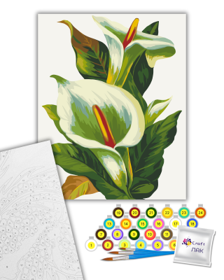 Картина за номерами "Білі калли" 13128-AC 40х50 см
