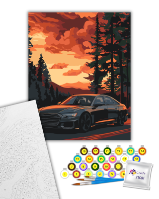 Картина за номерами "Комфортна поїздка" 12513-AC 40х50 см