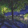 Картина по номерам "Ночной парк" 40х50 см 10585-AC