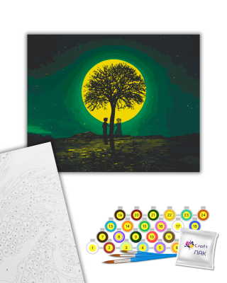 Картина за номерами "Примарна зустріч" 10548-AC 40х50 см