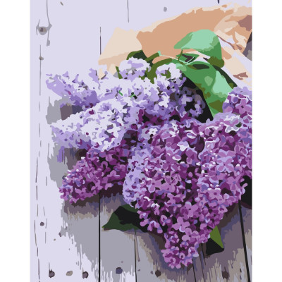 Картина за номерами "Подих весни" 13111-AC 40х50 см