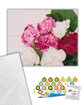 Картина за номерами "Півонієва фієста" 13107-AC 40х50 см