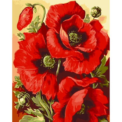 Poppy Blossom painting by numbers 13129-AC 40x50 cm