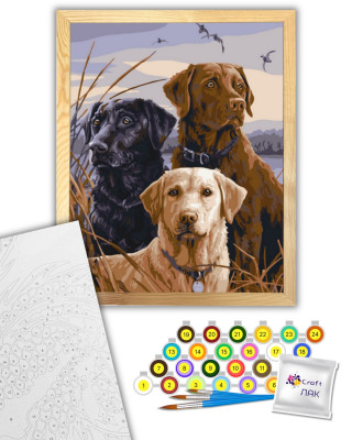 Картина по номерам 