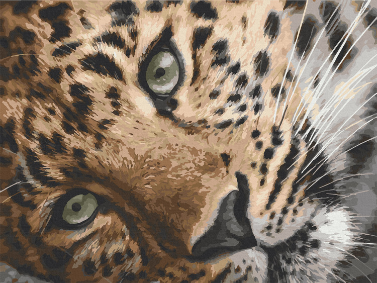 Картина за номерами "Леопард" 40х50 см 11635-AC