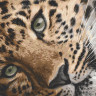 Картина по номерам "Леопард" 11635-AC 40х50 см