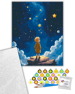 Картина за номерами "Маленький принц" 16120-AC 40х50 см