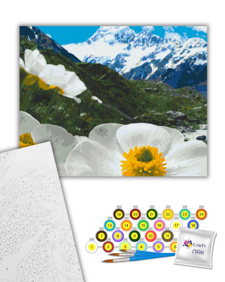 Картина за номерами "Альпійські маки" 10564-AC 40х50 см
