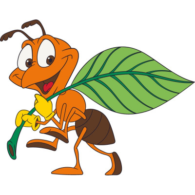 Дитяча розмальовка "Мураха" 15044-AC 25х30 см