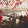 Картина по номерам "Мост свободы. Будапешт" 40х50 см 10560-AC