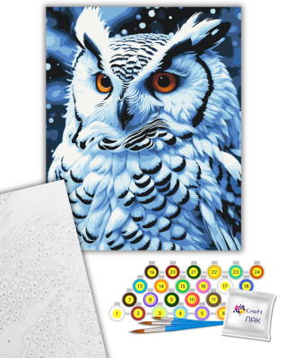 Картина за номерами "Нічний птах" 11562-AC 40х50 см